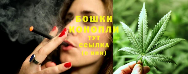 хмурый Корсаков