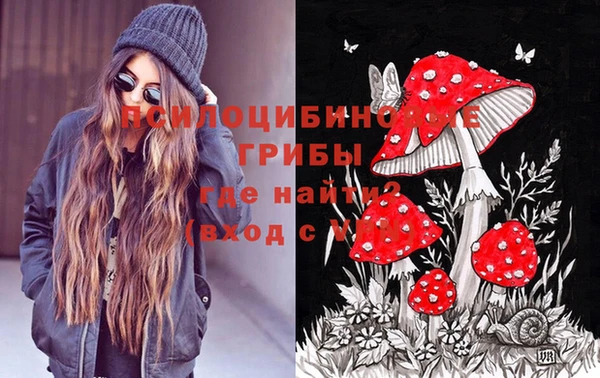 бошки Киреевск