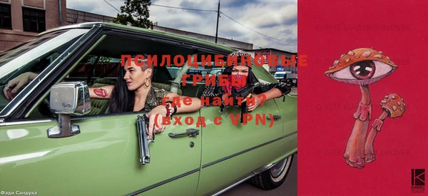 спиды Коряжма