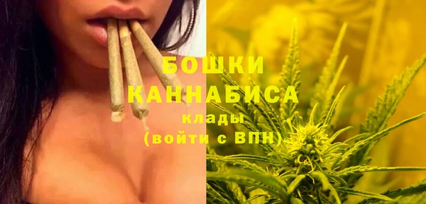 стаф Карталы